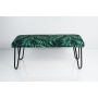 MONSTERA-VELVET-21_1.jpg