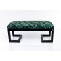 MONSTERA-VELVET-21_1.jpg